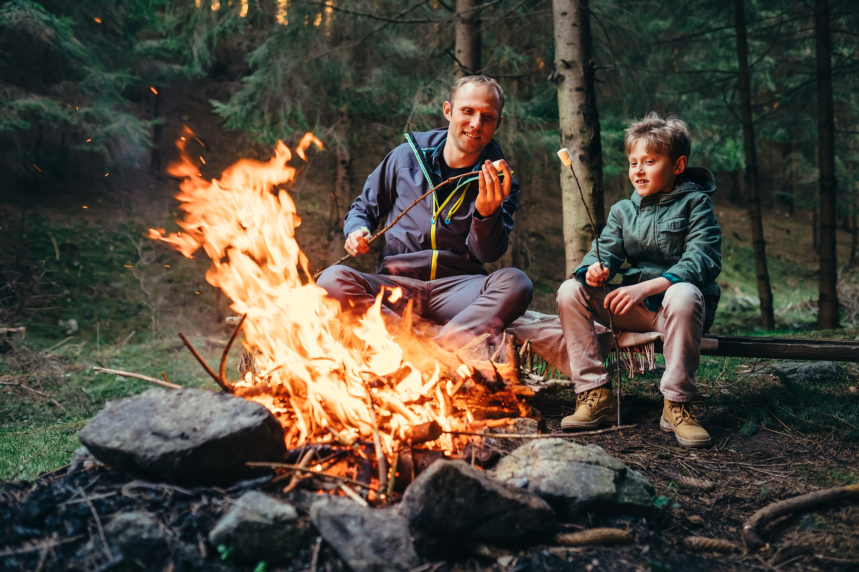 rencontre parent célibataire belgique